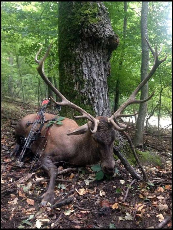 frenchbowhunter's embedded Photo