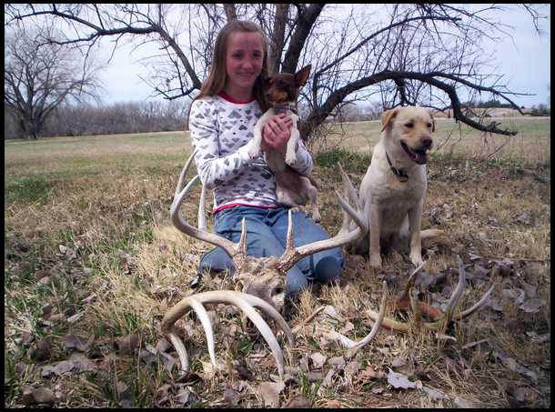 Shed hunting dogs - by Bowsite.com Bowhunting - Printable
