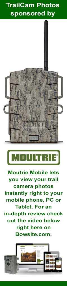 Moultrie M100