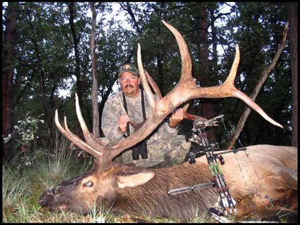 bowhunter685's embedded Photo