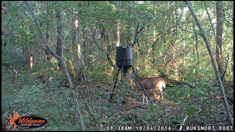Mr. Bowhunter's embedded Photo