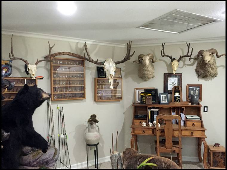 bsbowhunter's embedded Photo