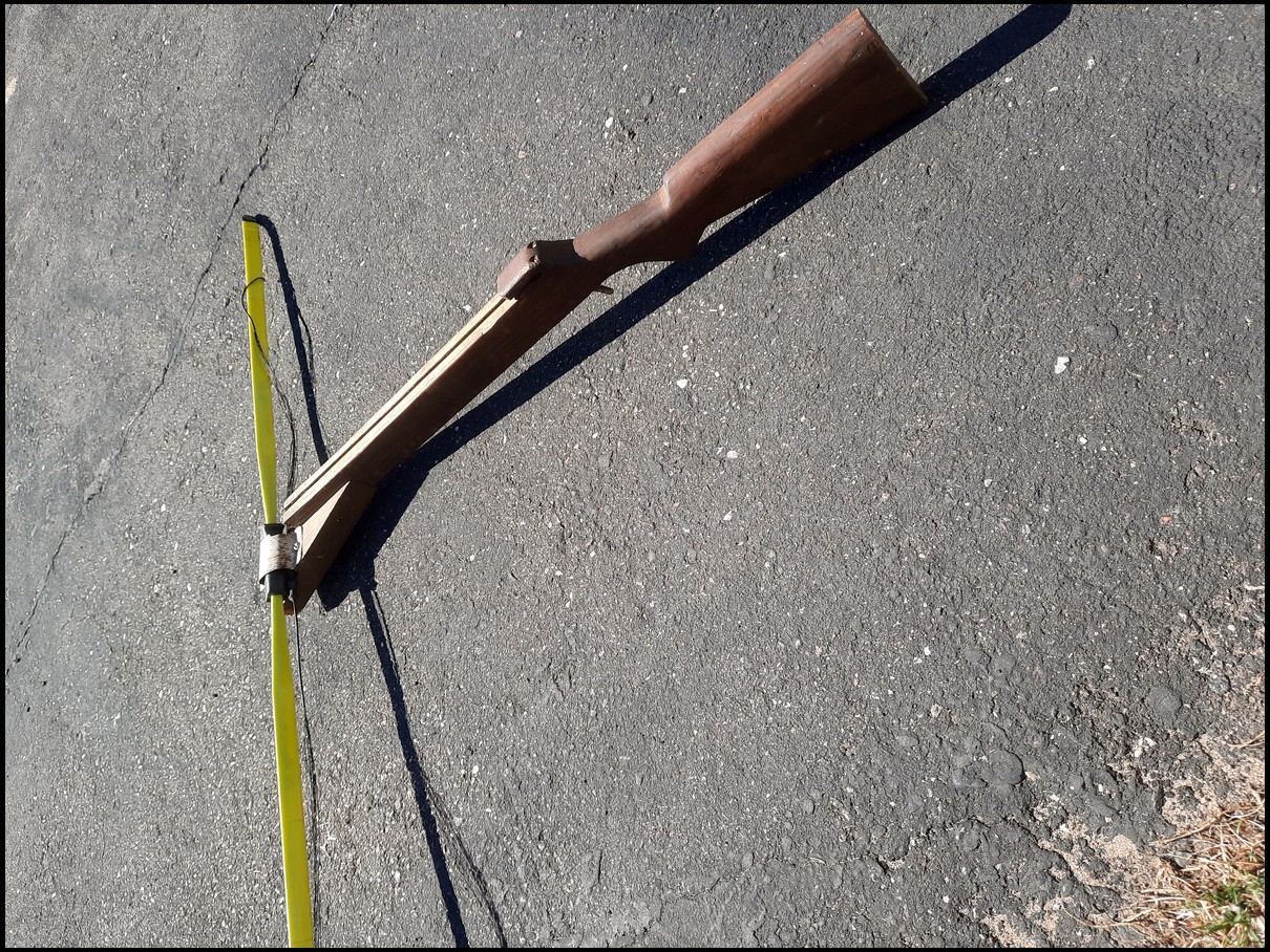 RUGER1022's embedded Photo