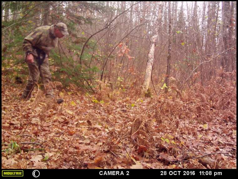 MuskyBuck's embedded Photo