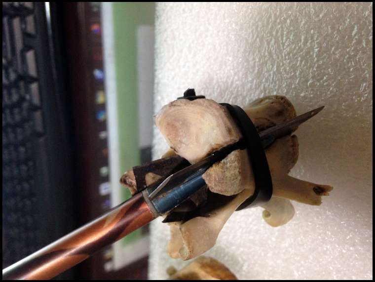 Red River Broadheads's embedded Photo