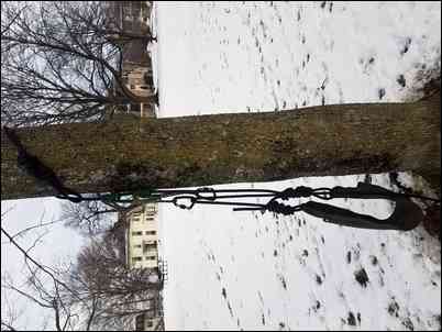 fall harness, Avon MA stand tree