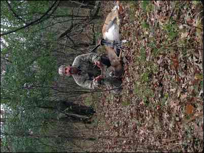 Live2hunt's embedded Photo