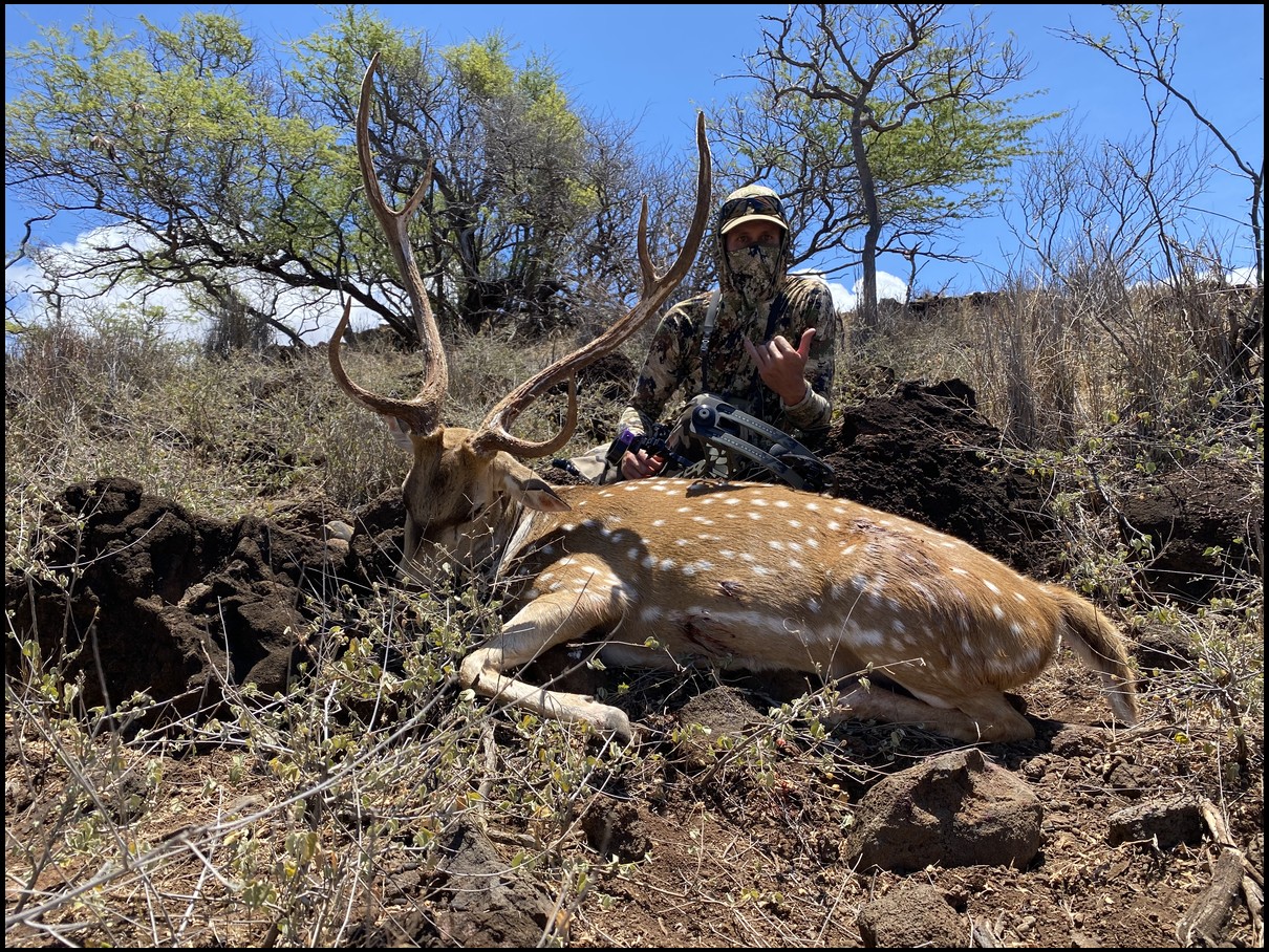 808bowhunter's embedded Photo