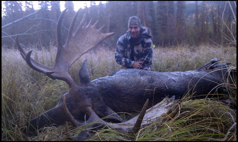 moose kill broadhead survey