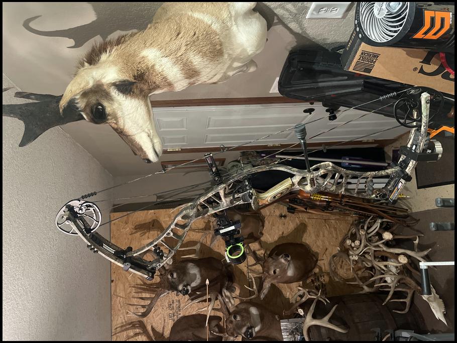 bowhunter374's embedded Photo