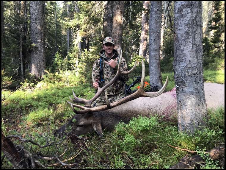 808bowhunter's embedded Photo