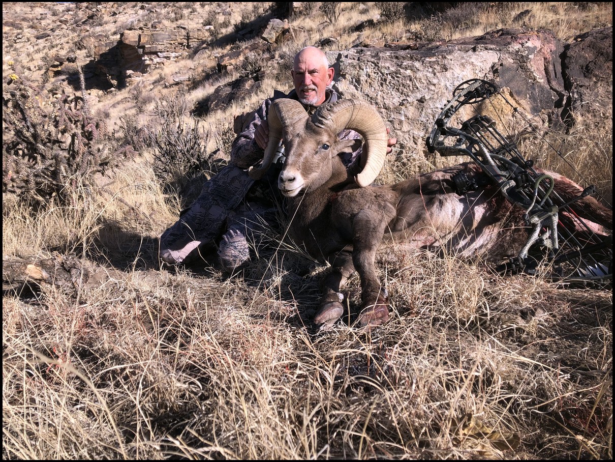 Bowhunt24-7's embedded Photo
