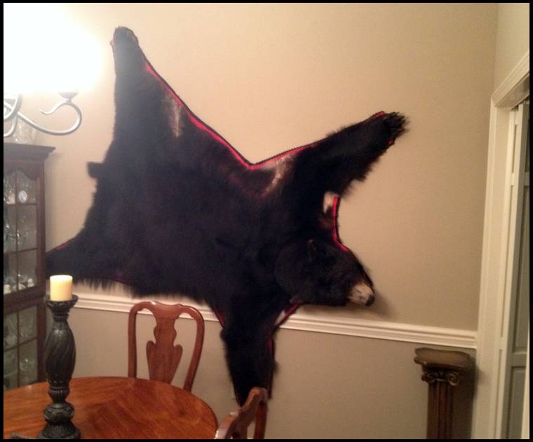 How To Hang A Bear Rug - Uniquely Modern Rugs How To Hang A Bear Rug