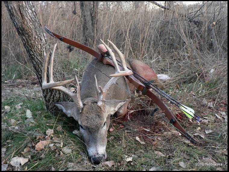 recurve bow hunting deer