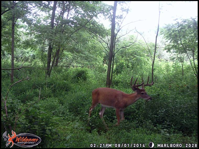 Bowkill's embedded Photo