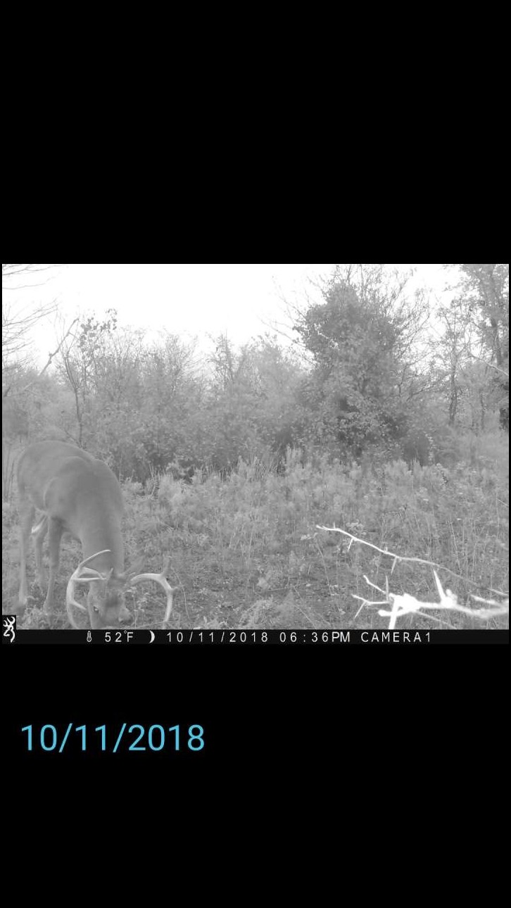 live2hunt88's embedded Photo