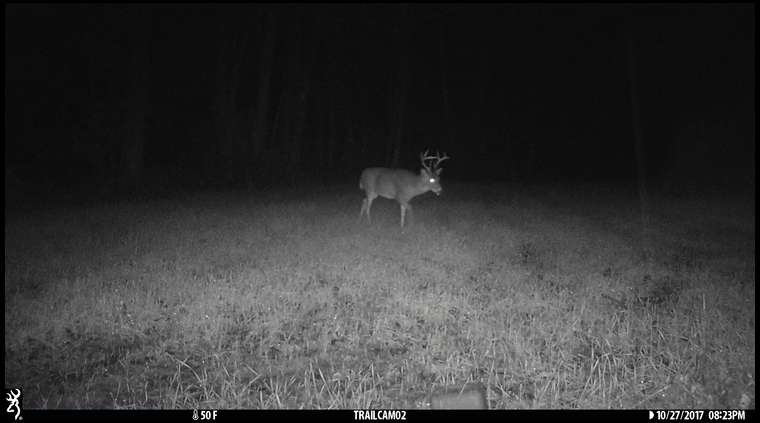 OH-bowhunter's embedded Photo