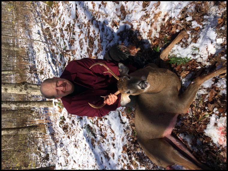 deer hunter's embedded Photo