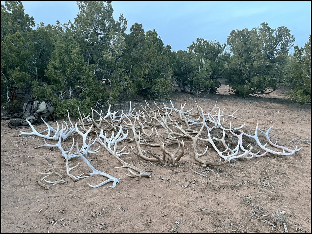 CFMuley's embedded Photo