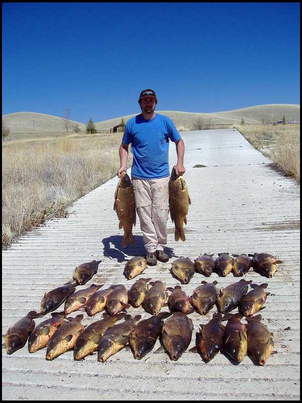 Bowfising Blythe Canals, Jesse's Hunting, Fishing & Outdoors Forum