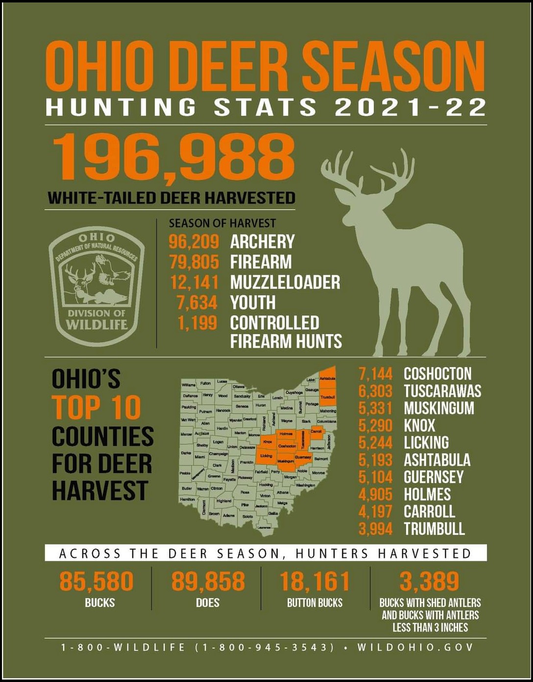 20212022 deer harvest