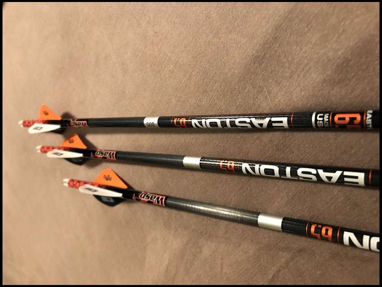 More Big Game Penetration with 6mm Under Armour Carbon Arrows - Easton  Archery