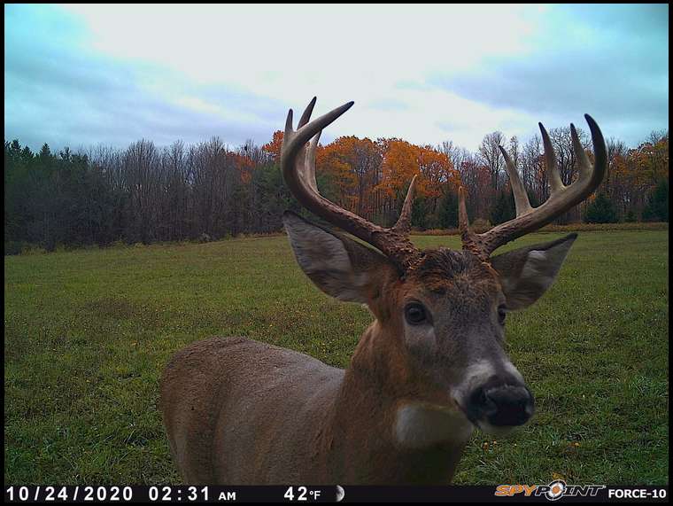 8point's embedded Photo