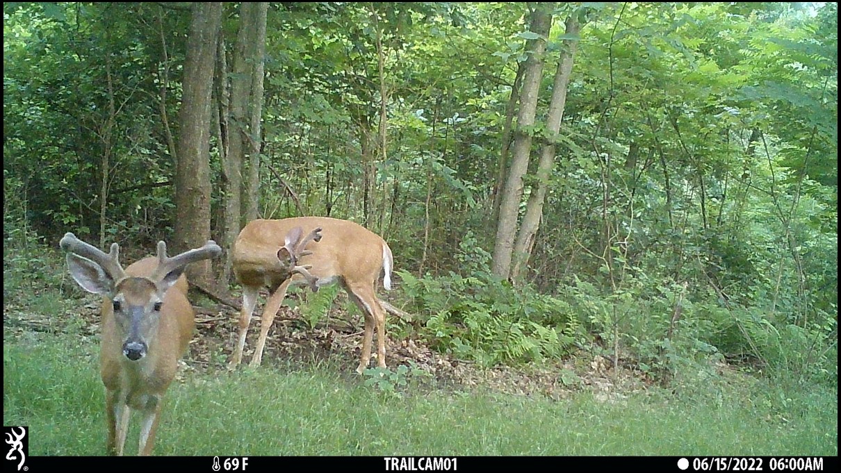 pa10point's embedded Photo