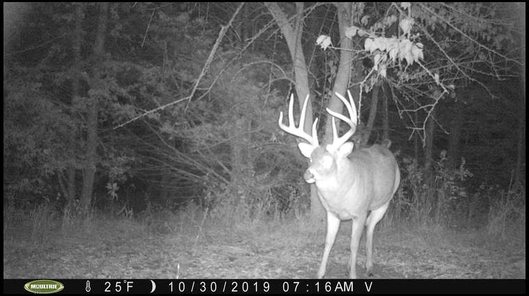 cobowhunter's embedded Photo