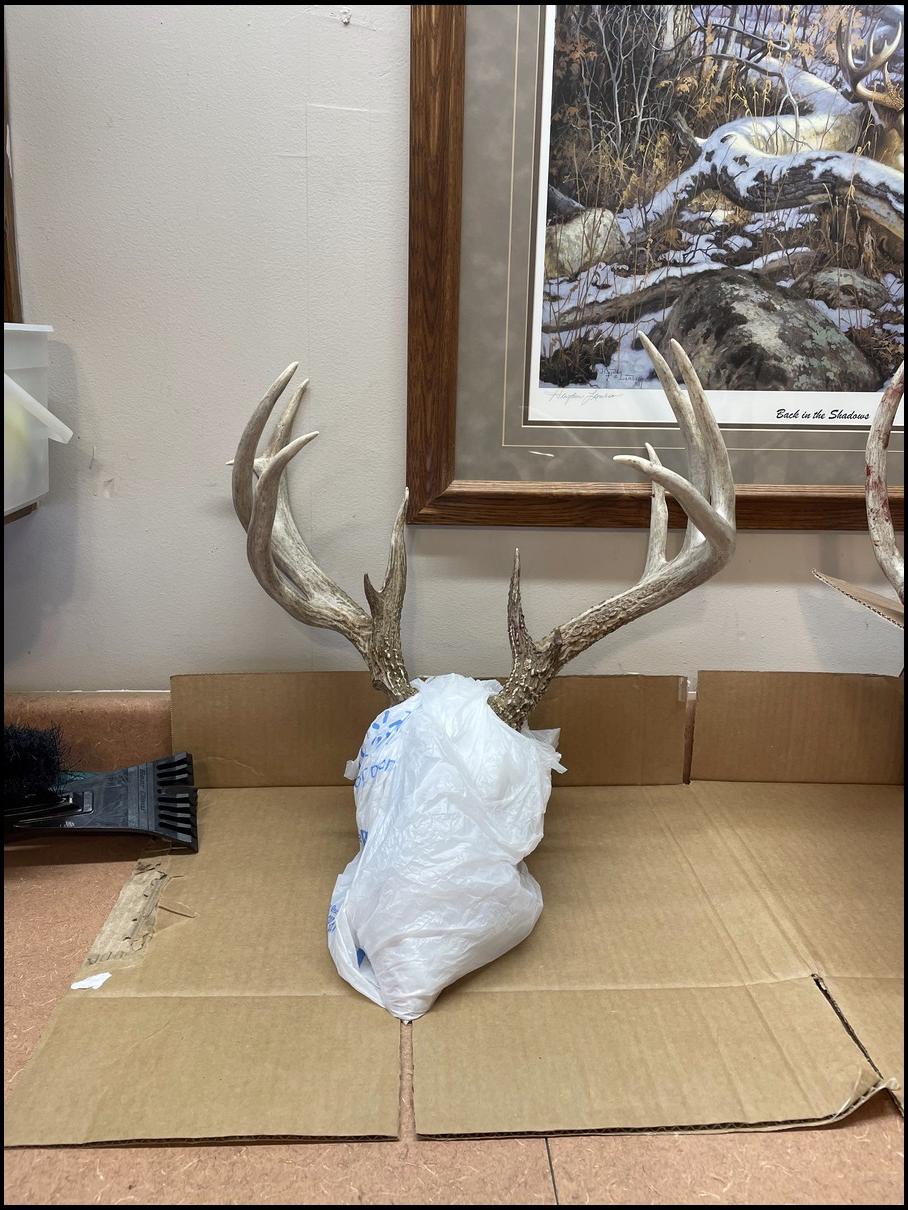 sdbowhunter's embedded Photo