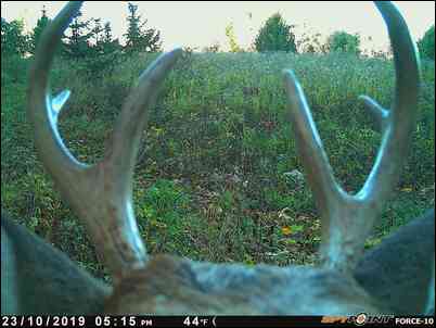 8point's embedded Photo