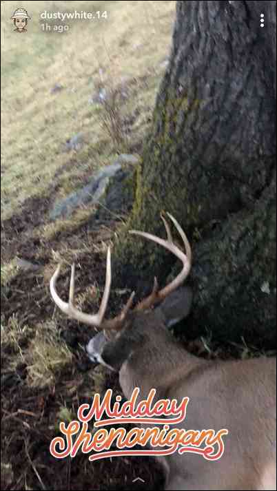 GBCbowhunter's embedded Photo