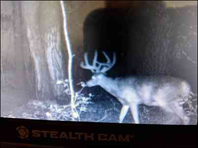 Bowhunt3138's embedded Photo