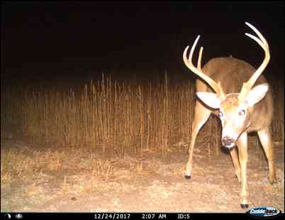sdbowhunter's embedded Photo