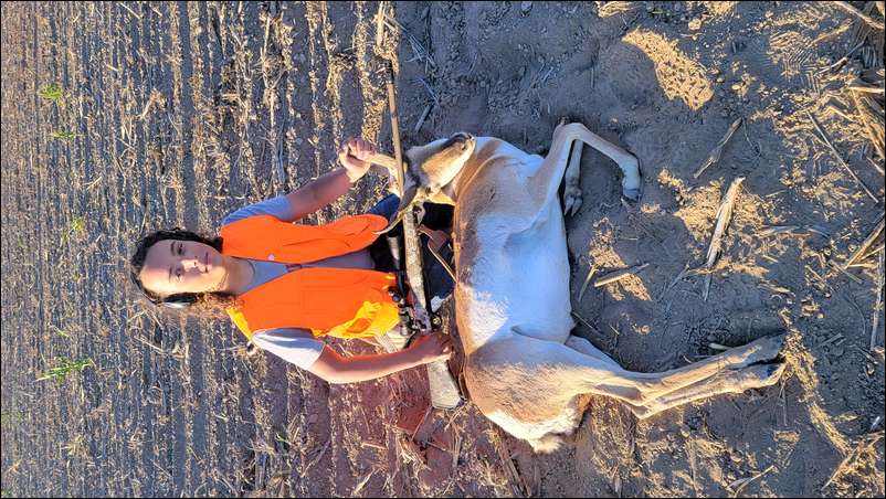 pronghorn21's embedded Photo