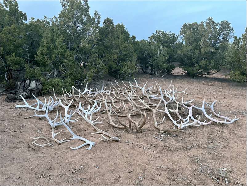 CFMuley's embedded Photo