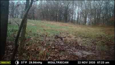 Bowhunter09's embedded Photo