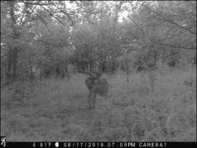 live2hunt88's embedded Photo