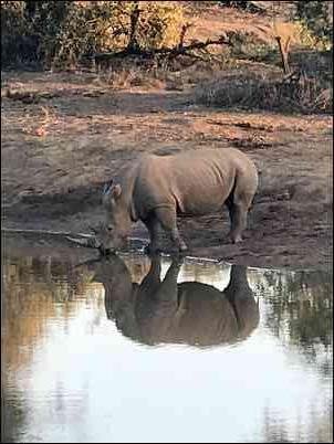 Ken Moody Safaris's embedded Photo