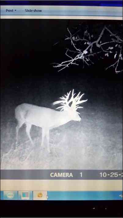 Wv bow hunter 's embedded Photo