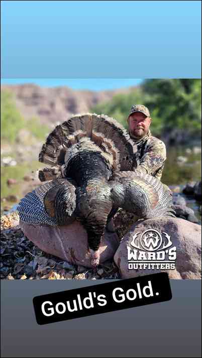 Ward's Outfitters's embedded Photo